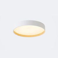 Gray Round Minimalist Modern Ceiling Light for Home Use - Rebooters