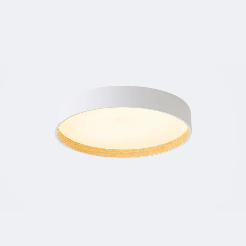 Gray Round Minimalist Modern Ceiling Light for Home Use - Rebooters