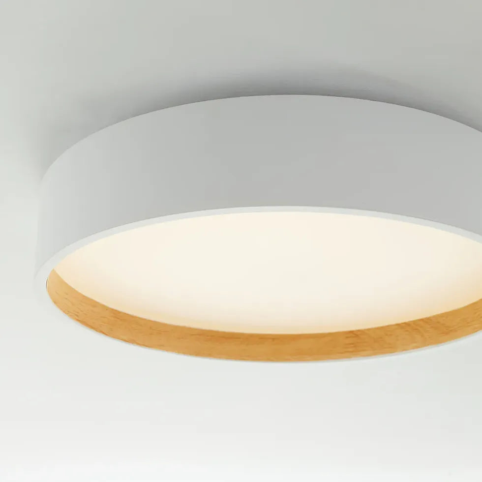 Gray Round Minimalist Modern Ceiling Light for Home Use - Rebooters