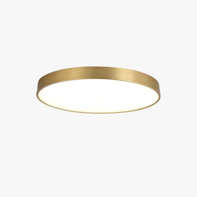 Metallic Round Minimalist Ceiling Light for Corridor Design - Rebooters